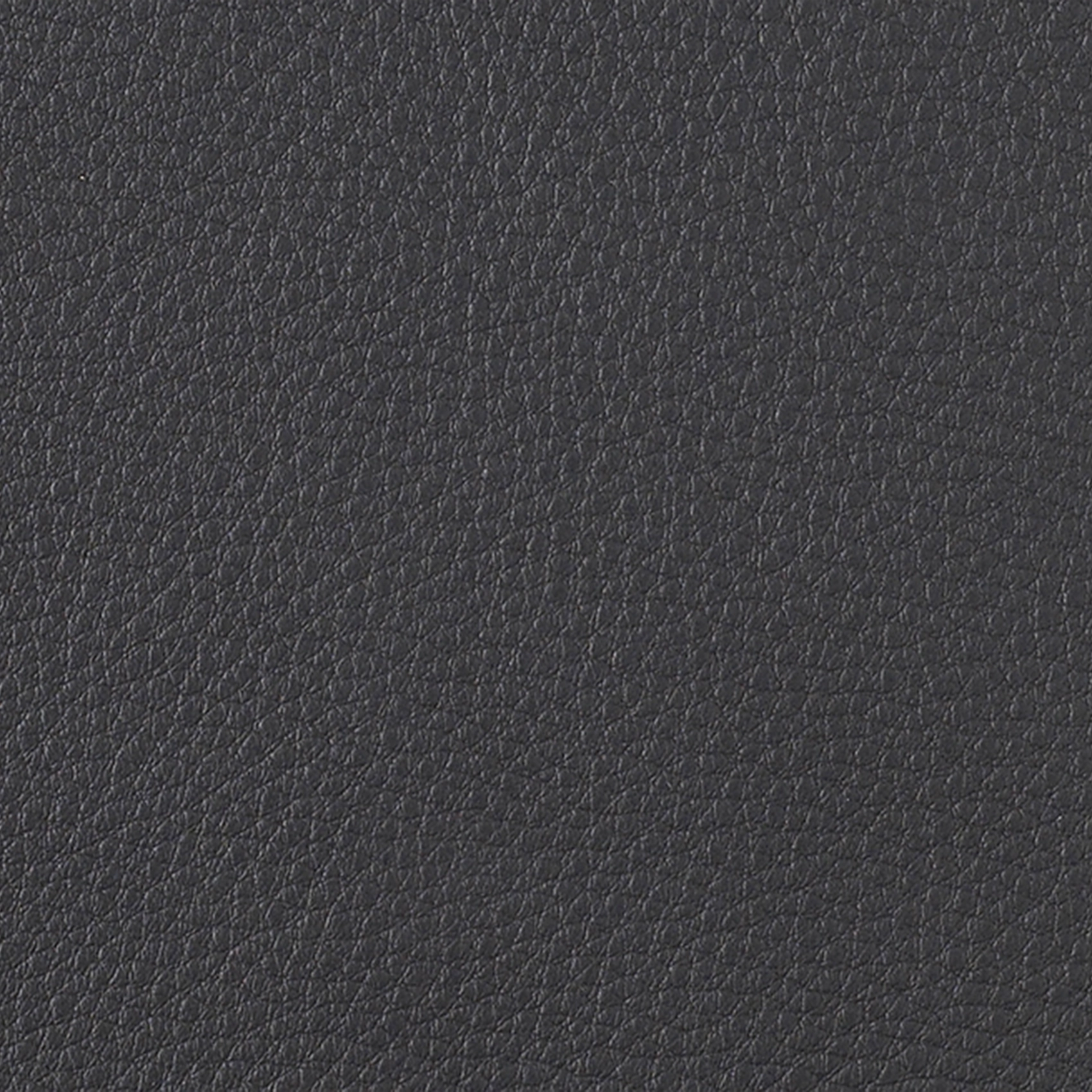 Mimosa - Image 1