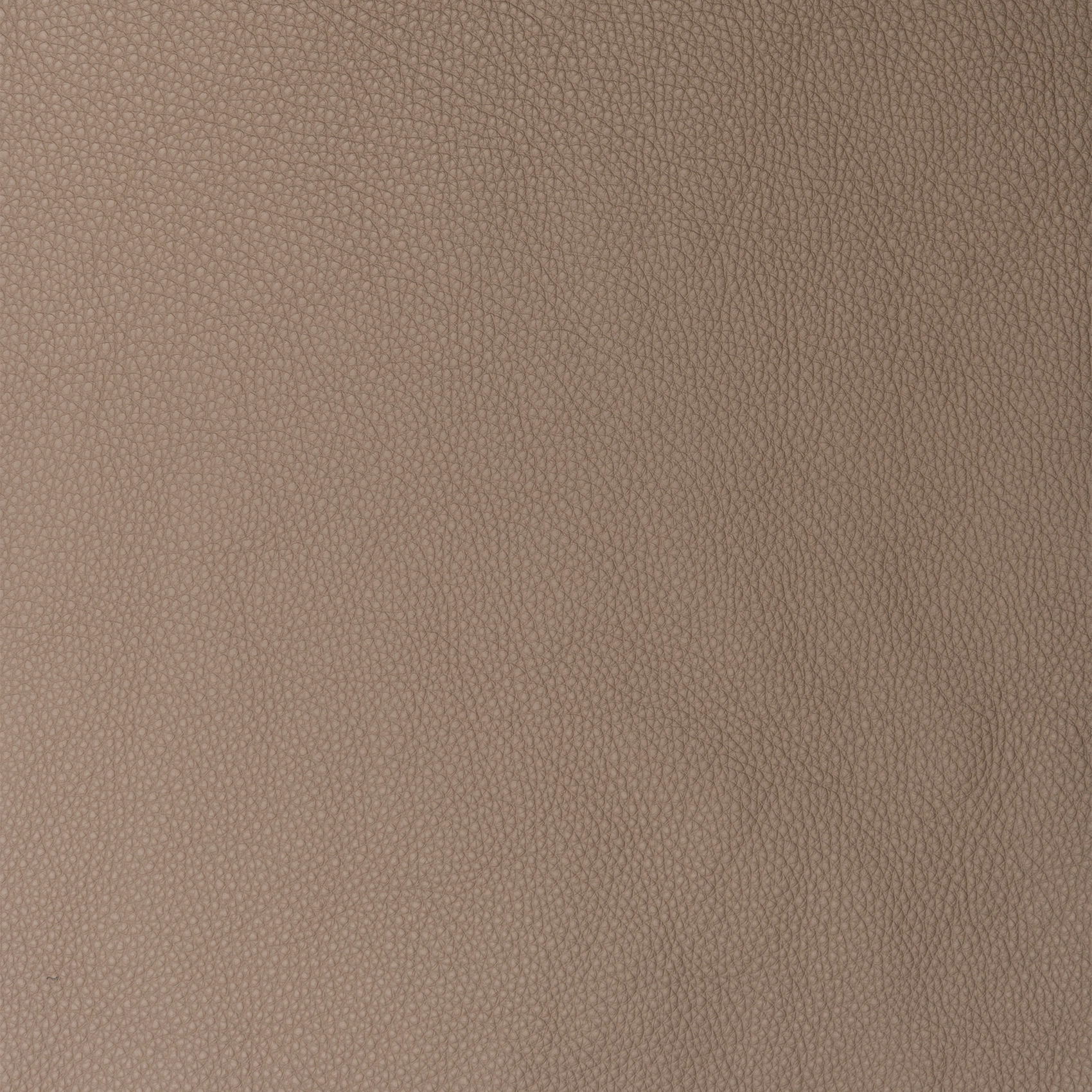 Texas - Image 1