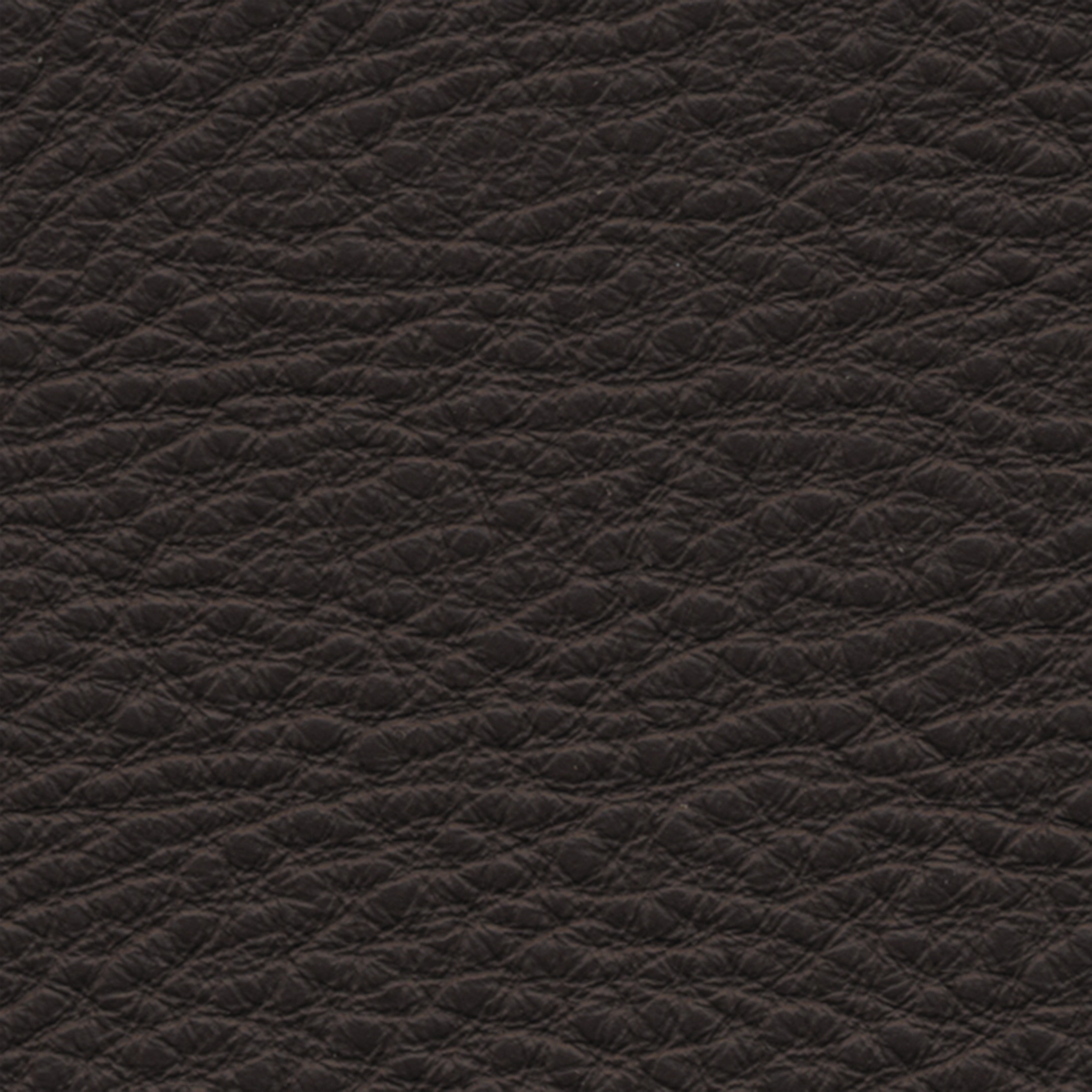 Texas - Image 3
