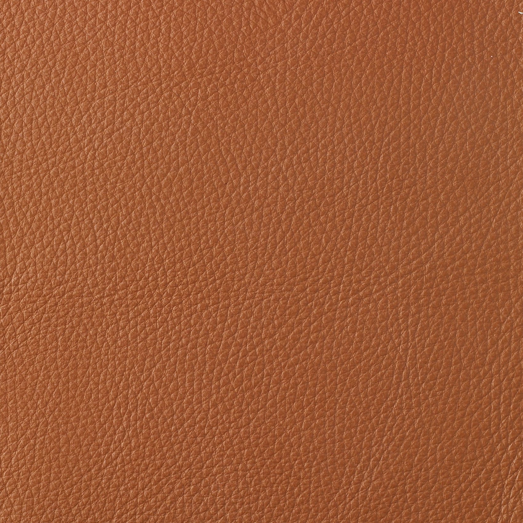 Texas - Image 5