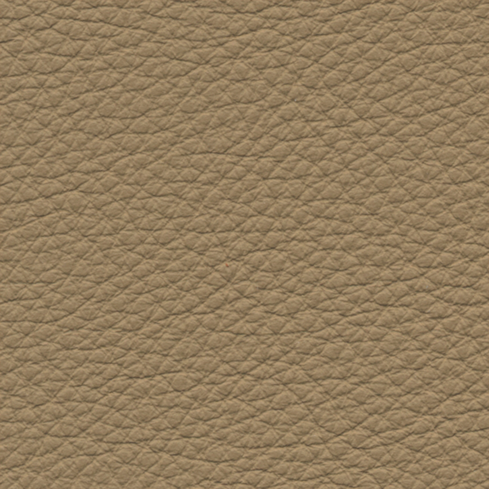 Texas - Image 6